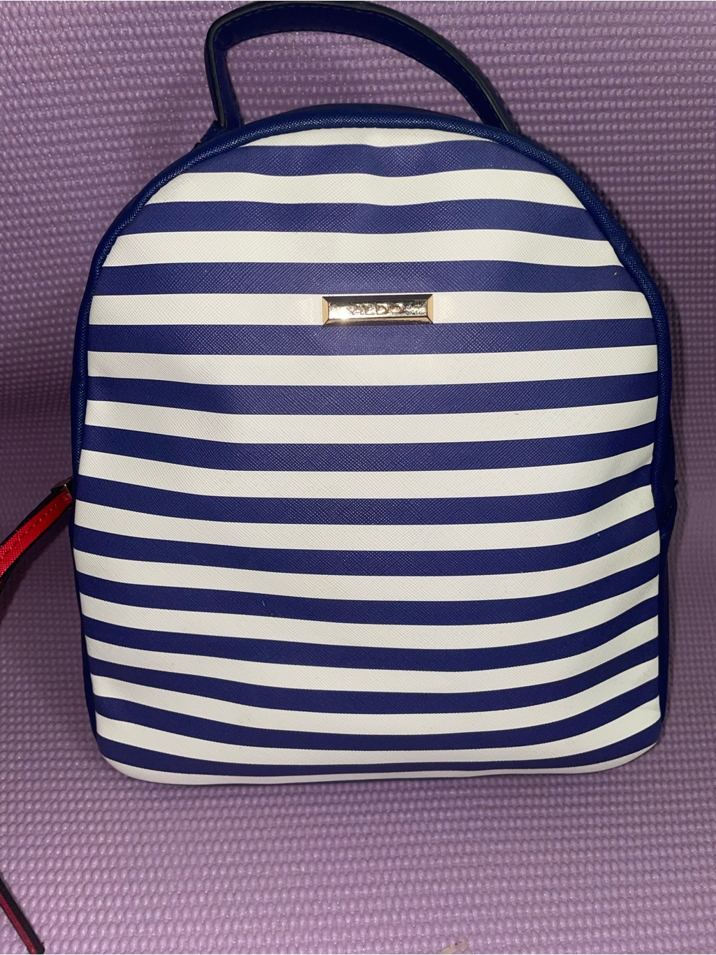 Aldo Backpacks